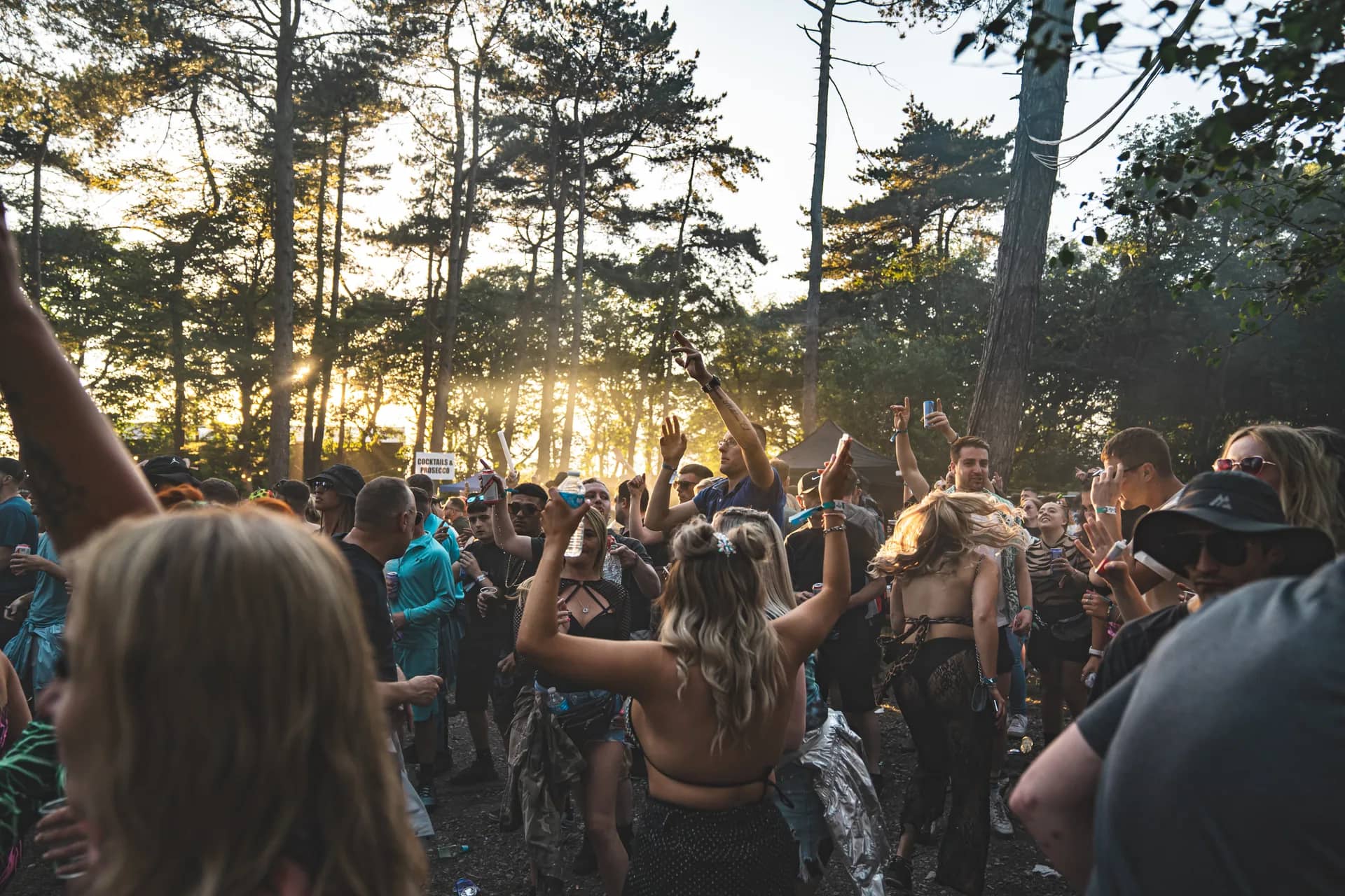 Low golden sun through the pines behind a dancing crowd.