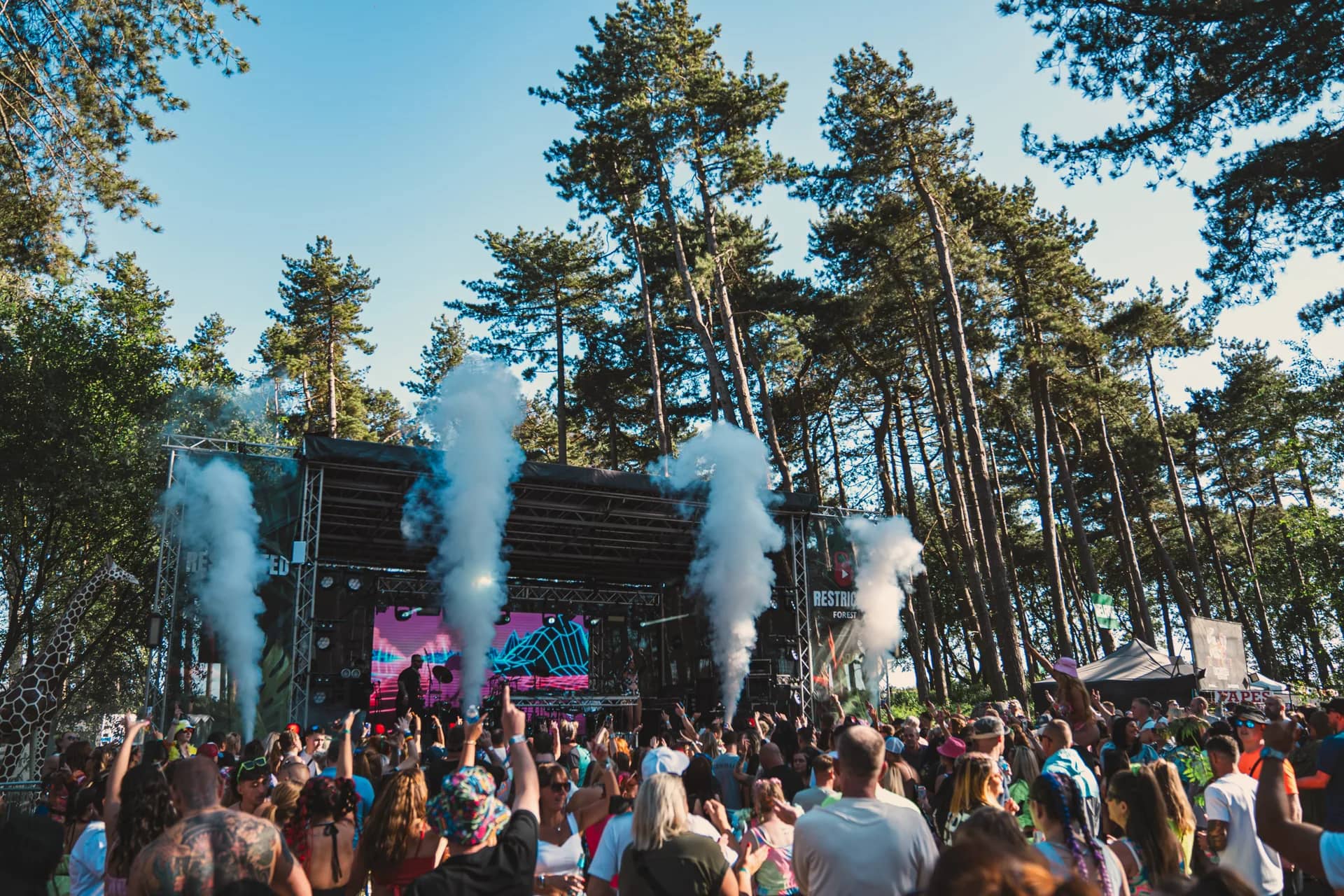 Four white smoke jets firing skyward past tall pines, the stage lit blue below.