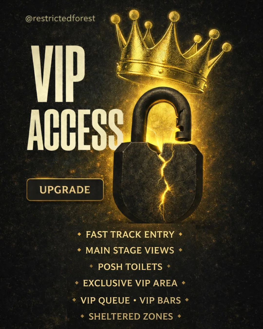 VIP Access artwork: a gold crown above a cracked padlock, listing fast track entry, main stage views, posh toilets, exclusive VIP area, VIP queue, VIP bars and sheltered zones.